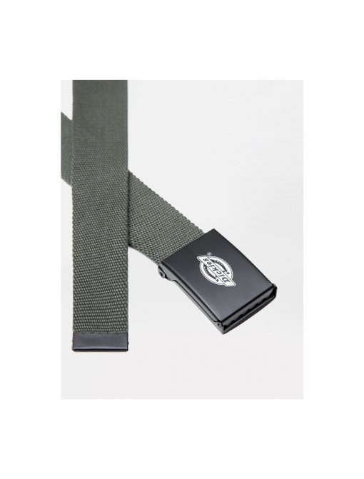 Dickies Orcutt Logo Buckle Belt Olive