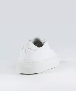Sneaky Steve Moore W White