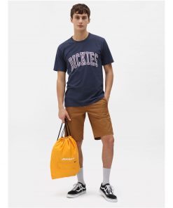 Dickies Aitkin Tee Navy