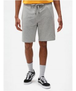 Dickies Champlin Shorts Grey