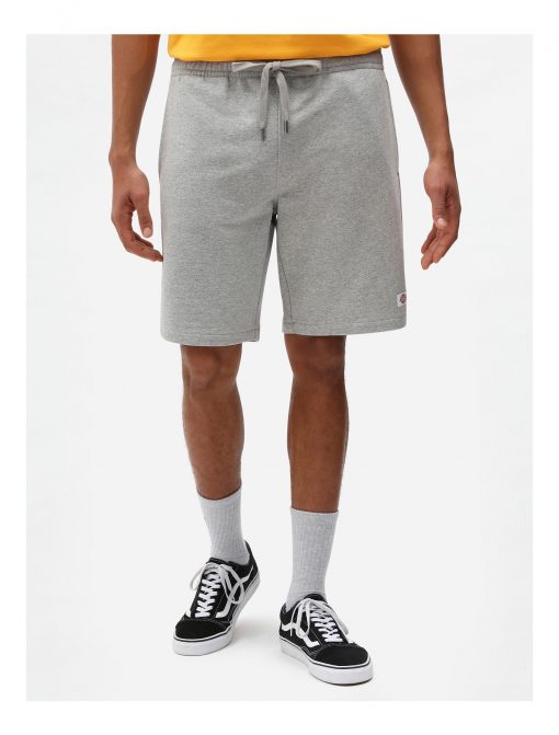 Dickies Champlin Shorts Grey