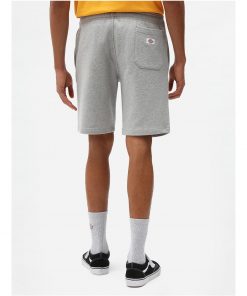 Dickies Champlin Shorts Grey