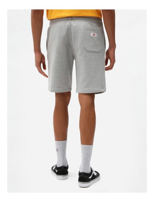 Dickies Champlin Shorts Grey