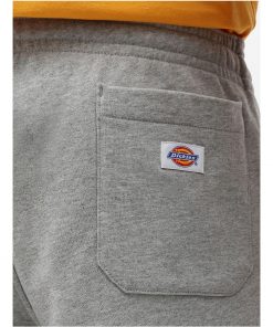 Dickies Champlin Shorts Grey