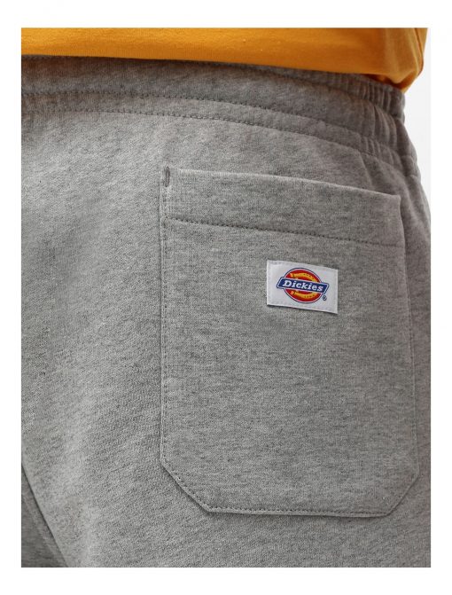 Dickies Champlin Shorts Grey