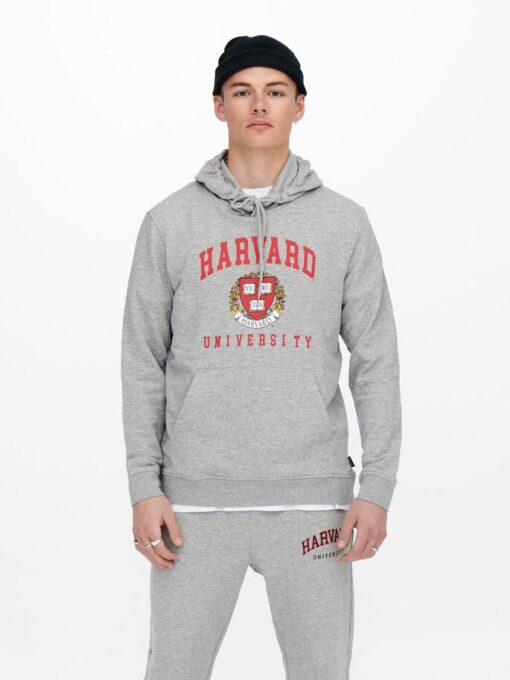 Only & Sons Harward Hood Light Grey Melange