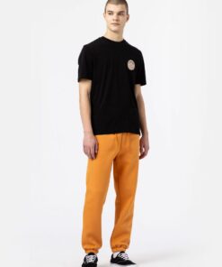 Dickies Woodinville Tee Black