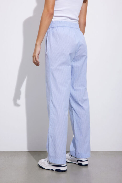 Envii Enryan Pants Blue Stripe