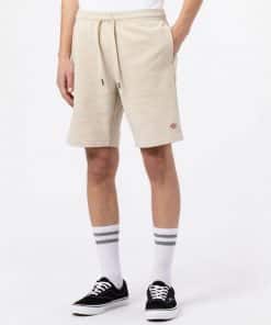 Dickies Champlin Shorts Cement