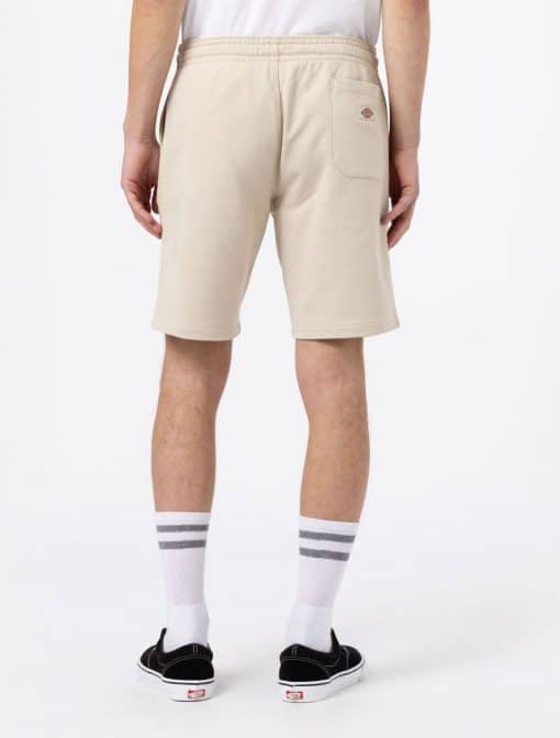 Dickies Champlin Shorts Cement