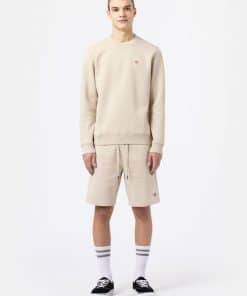 Dickies Champlin Shorts Cement