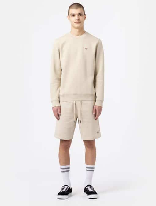 Dickies Champlin Shorts Cement