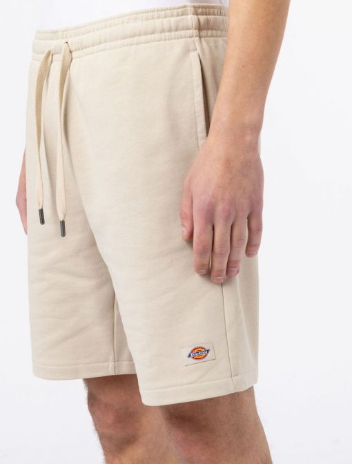 Dickies Champlin Shorts Cement
