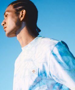 Dickies Seatac Short Sleeve T-Shirt Celadon Green