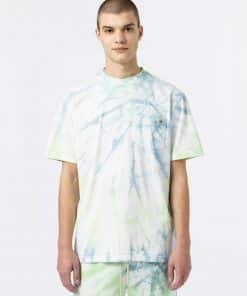 Dickies Seatac Short Sleeve T-Shirt Celadon Green