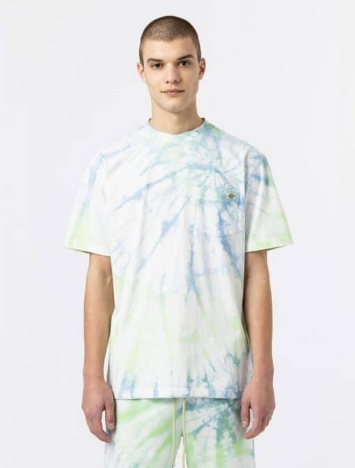 Dickies Seatac Short Sleeve T-Shirt Celadon Green