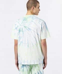 Dickies Seatac Short Sleeve T-Shirt Celadon Green