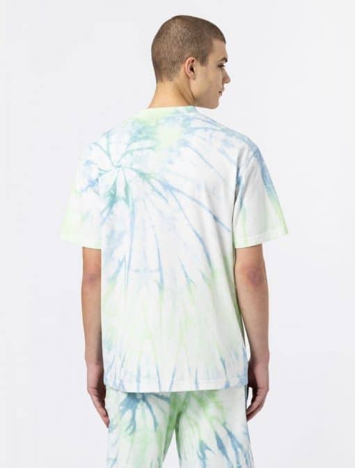 Dickies Seatac Short Sleeve T-Shirt Celadon Green