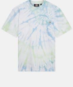 Dickies Seatac Short Sleeve T-Shirt Celadon Green