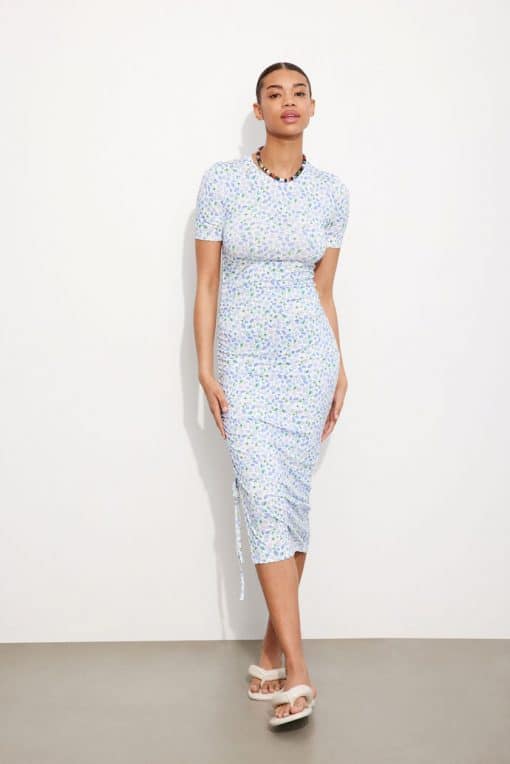 Envii Enzoe Aop Dress Field Of Blue