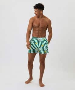 Björn Borg Swim Shorts Green