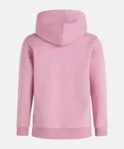Peak Performance Original Small Logo Hood Bitter Root