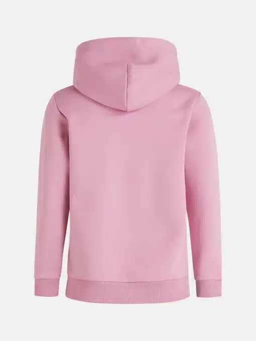 Peak Performance Original Small Logo Hood Bitter Root