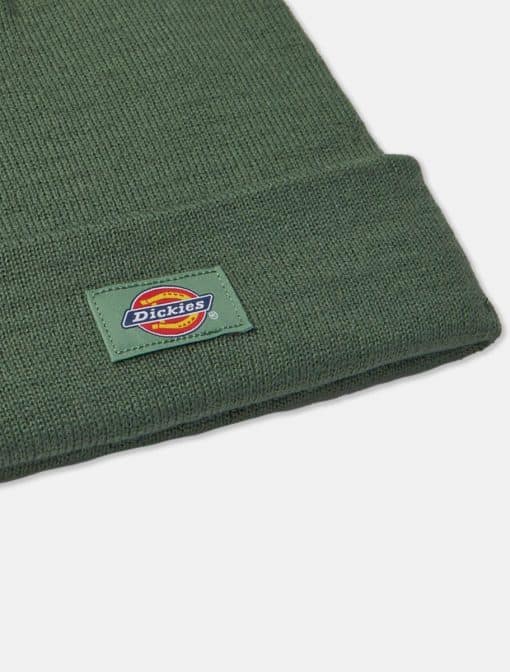 Dickies Gibsland Beanie Dark Ivy