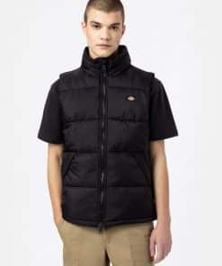 Dickies Waldenburg Vest Black