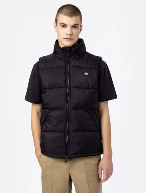 Dickies Waldenburg Vest Black