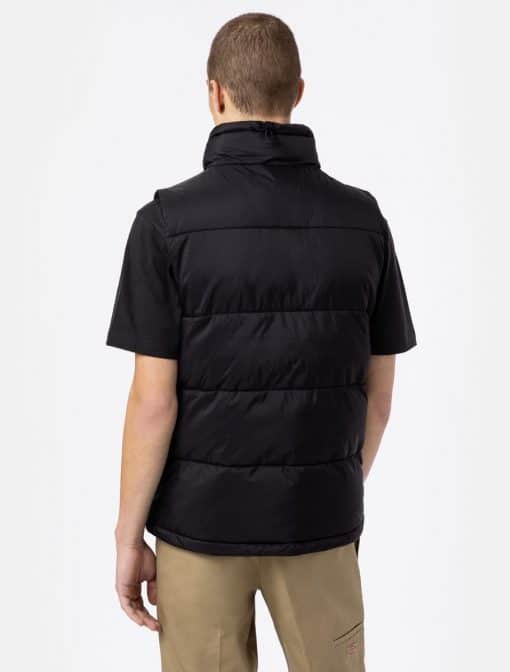 Dickies Waldenburg Vest Black