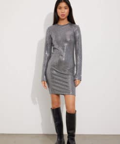 Envii Pluto Dress Silver Glitter