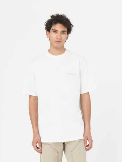 Dickies Oatfield Short Sleeve T-Shirt Cloud