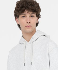Dickies Summerdale Hoodie Light Grey