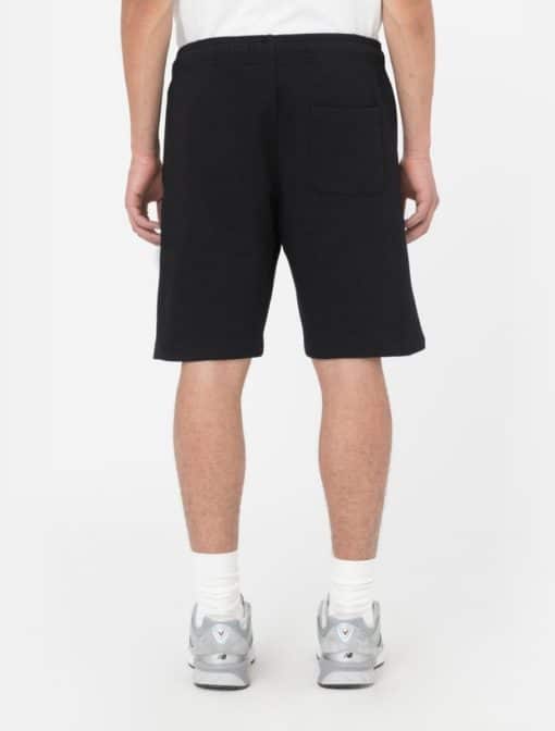 Dickies Mapleton Shorts Black