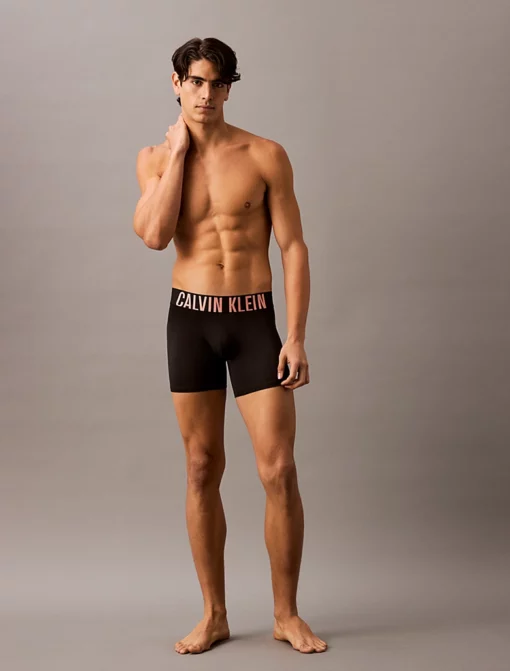 Calvin Klein 3-Pack Boxer Briefs - Intense Power Cotton Black Punch