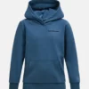 Peak Performance Original Small Logo Hood Junior Mountain Lake