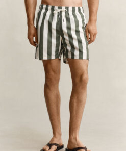 Gant Block Striped Swim Shorts Dry Herb green